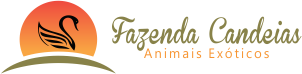 Fazenda Candeias - Aves Aquáticas, Pavões, Lhamas no Rio de Janeiro